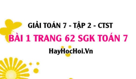 Giải bài 1 trang 62 Toán 7 tập 2 SGK Chân trời sáng tạo